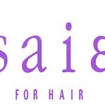 saie_logo